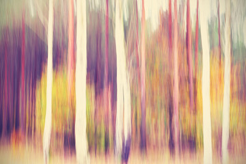 Motion blurred trees in a autumn forest, abstract background.