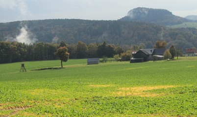 Blick vom Fuß des Liliensteines über die Hochebene © holger.l.berlin
