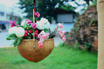 Old wall with flower pots
