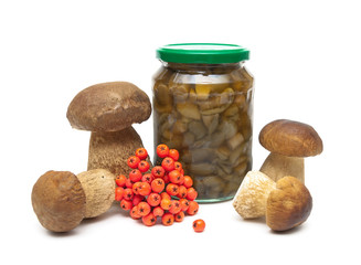 fresh and marinated mushrooms and a bunch of red rowan berries o