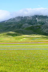 Fototapeta premium Piano Grande di Castelluccio (Italy)