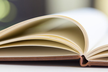 close up on open book pages