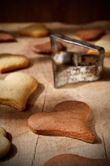 Close-up portrait of vanilla and cocoa flavoured cookies