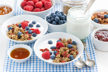 breakfast with granola, berries, honey and yogurt, horizontal