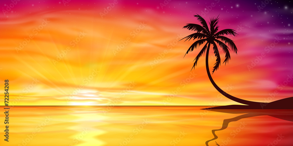 Wall mural sunset, sunrise with palm tree