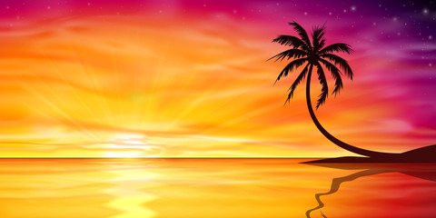 Obraz premium Zachód słońca, wschód słońca z palmą