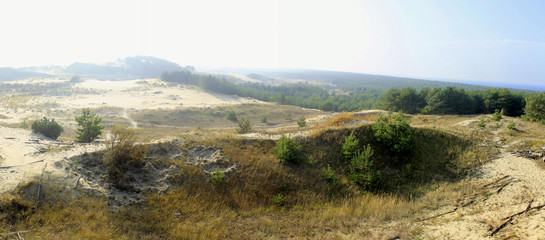 панорама песков на Куршской косе