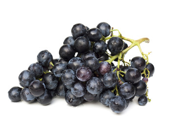 Blue grape cluster isolatel on white background