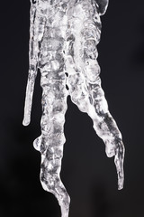 Large icicle in December5