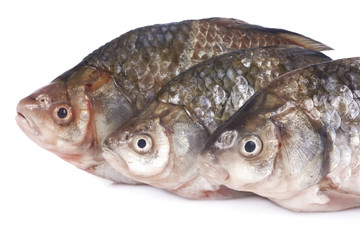 Raw fish isolated on white background