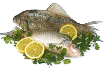 Raw fish with lemon and parsley isolated on white background