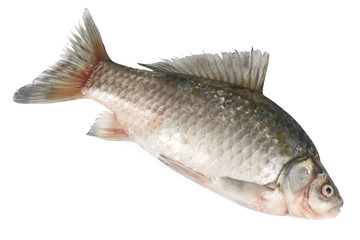 Raw fish isolated on white background