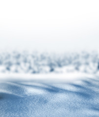 Obraz premium winter forest