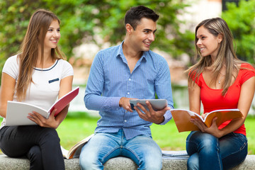 Happy students studying outdoor