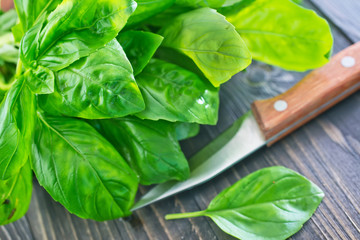 fresh basil