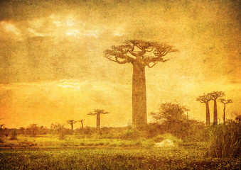 Vintage afbeelding van Baobabs avenue, Madagascar