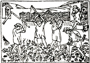 Medieval draving 