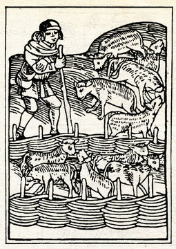 Medieval draving "Shepherd with sheep"