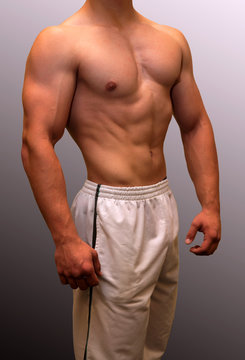 Muscular male torso showing muscle detail