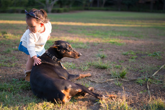 犬と少女 Photos Royalty Free Images Graphics Vectors Videos Adobe Stock 犬と少女 Photos Royalty Free Images Graphics Vectors Videos Adobe Stock