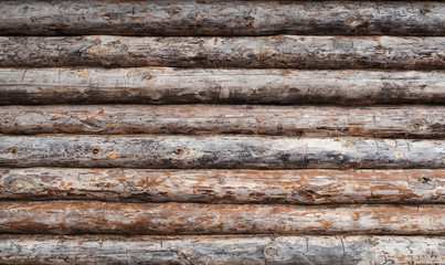wooden log house wall