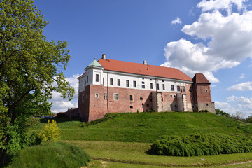 Fototapeta na wymiar Zamek w Sandomierzu 2