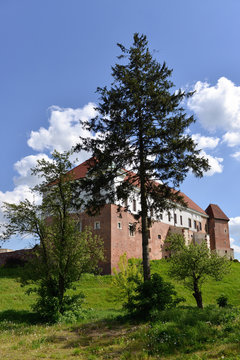 Zamek w Sandomierzu 8