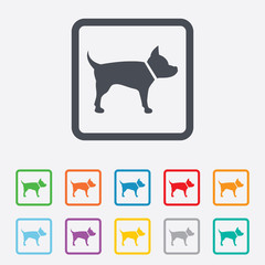 Dog sign icon. Pets symbol.