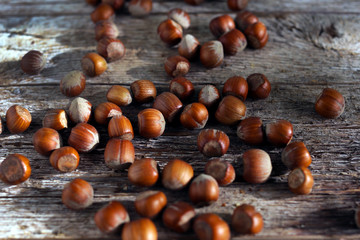 Hazelnuts in shells on the wooden desk, outdoors forest sunlight