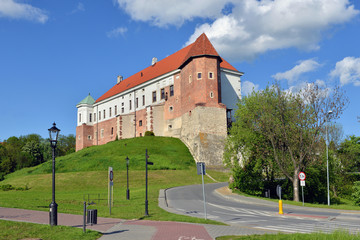 Fototapeta na wymiar Zamek w Sandomierzu 5