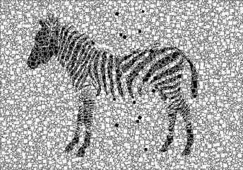 Fototapeta na wymiar Abstract Zebra