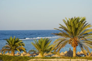Deurstickers egypt landscape © chriss73