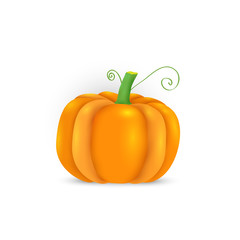 Vector cute pumpkin