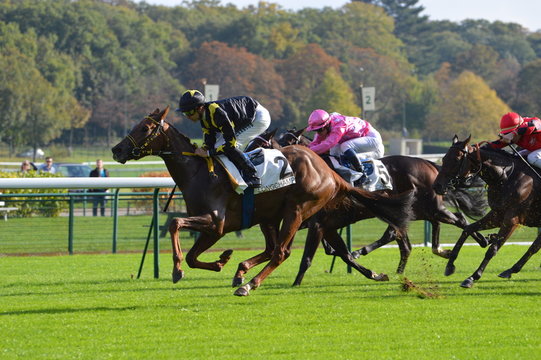 cheval de course