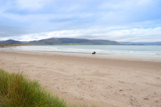 horse and rider at the maharees beach
