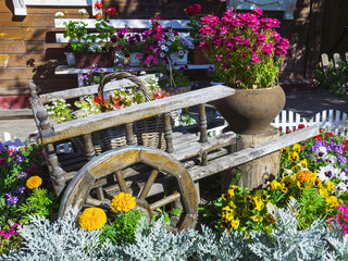 Trolley with beautiful flowers in the garden