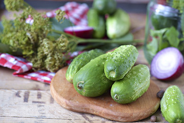 Set for home canning cucumbers on a background of onion, dill, p