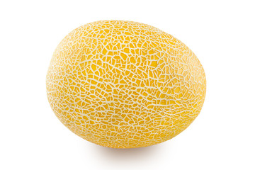 Melon on white background