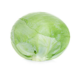 Fototapeta premium White cabbage isolated on white background