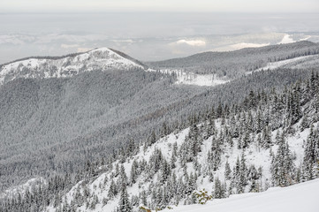 Zima w Tatrach - obrazy, fototapety, plakaty