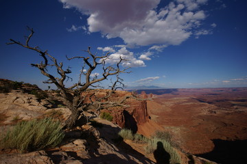 Canyonland