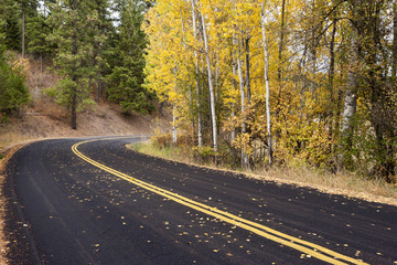 Country road in Autumn.