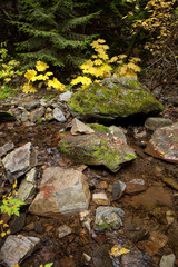 Rocks in stream.