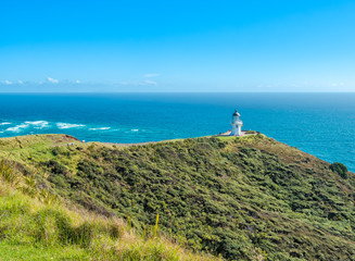 Fototapeta na wymiar Cape Reign lighthouse
