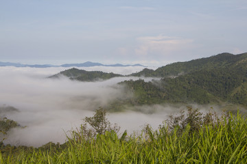 Fototapeta na wymiar Thick fog in the valley, Thailand