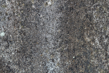 Cement Plaster - Structure of coloured cement plaster, backgroun