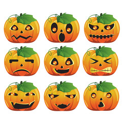 Pumpkin expression