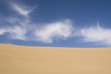 Plakat Desert landscape