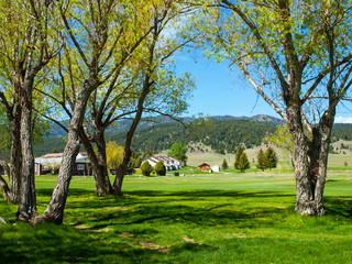 Fototapeta na wymiar Trees Framing a Rural Country Scene in Montana USA