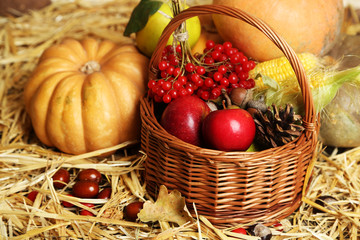 Beautiful autumn composition on straw